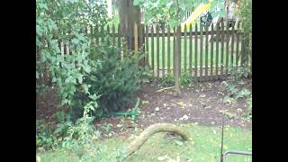 September 29, 2011 Storm Damage