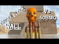 50 bmg vs cinder block wall