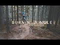       4060   gilles roethinger  burnin jungle 