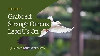 Grabbed Episode 11: Strange Omens Lead us On