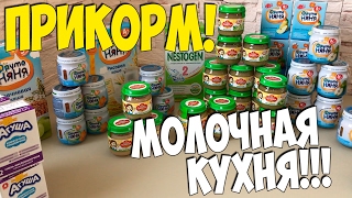 Молочная кухня 2017 / Что МЫ ЕДИМ