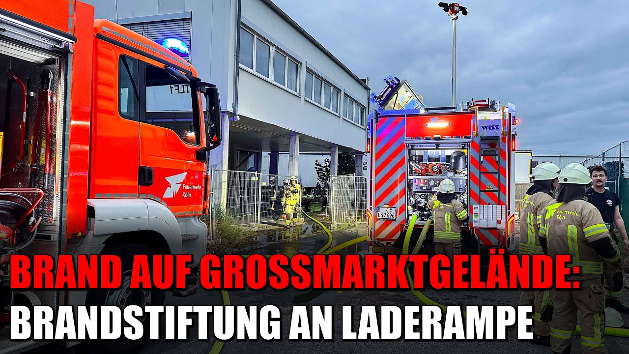 Brand auf Kölner Großmarktgelände - Feuerwehr muss leerstehende Lagerhalle aufbrechen | 29.05.2025