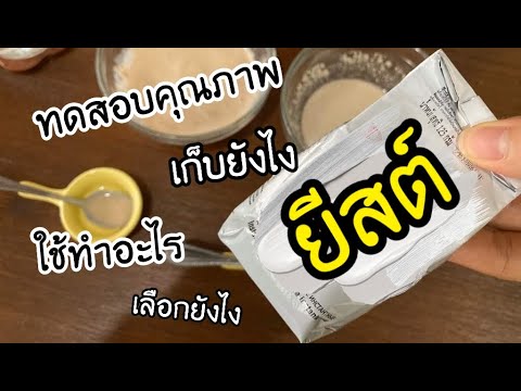 ทุกเรื่อง "ยีสต์" สำหรับมือใหม่ เลือกซื้อยีสต์ เก็บยีสต์ยังไง ยีสต์ใช้ทำอะไร วิธีทดสอบยีสต์ง่ายๆ