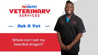 Loving Your Bearded Dragon: Safe and Affectionate Petting Tips From PetSmart Veterinary Services by PetSmart 3,144 views 3 months ago 1 minute, 13 seconds