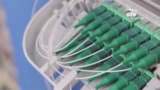 Famous OFS SlimBox™ Drop System  - How to Guide and Demonstration Wealth