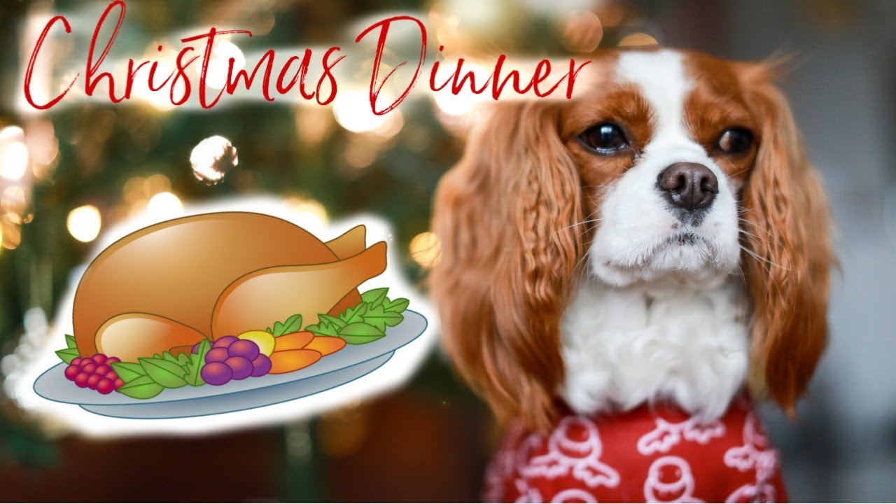 Herky Eats Christmas dinner | COOKING FOR YOUR DOG EASY RECIPE - YouTube