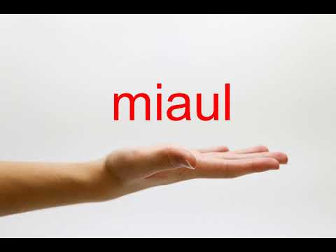 How To Pronounce Miaul American English