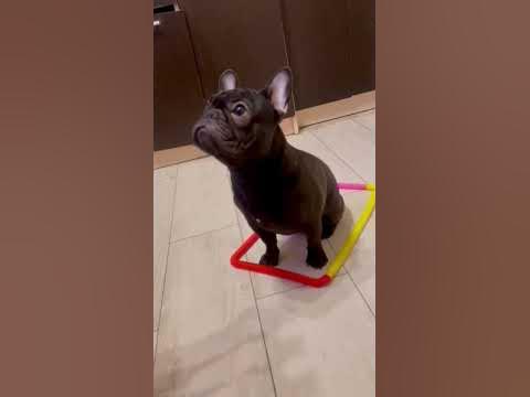 Муня💖 - YouTube