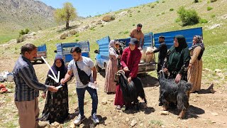 The Power Of Unity The Return Of The Deora Family To A Nomadic Life With Cattle Breeding 