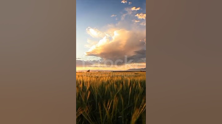 اللهم أحفظ عائلتي 🙏 #shortvideo #subscribe #دعاء #يوتيوب #محتوى_عربي #ادعية  #sunset #عائلتي