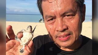 Download Lagu Derawan Island, East Kalimantan, Indonesia MP3 Download Lagu Derawan Island, East Kalimantan, Indonesia MP3