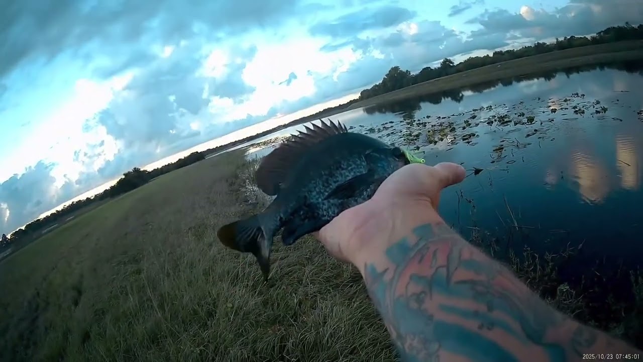 Florida freshwater fly fishing 