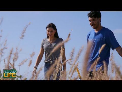 GET YOUR START IN THE FIELD OF CONSERVATION | Kupu 'Āina Corps