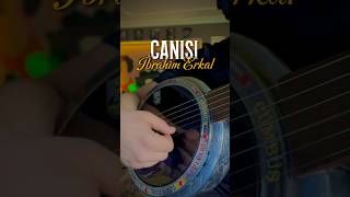 Canısı - İbrahim Erkal (Cümbüş Solo) Resimi