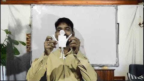 Class 2 Activity Based Learning | Chapter 11 | Lines and lines | Maths | Part 2 Educating the future