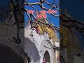 Jai maa Naina devi #viral #trending #nainadevitemple
