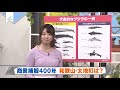 商業捕鯨再開へ!クジラ漁 2019年1月26日②