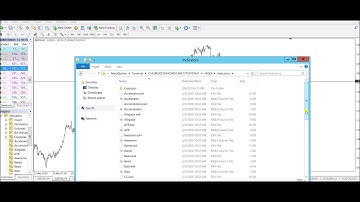 Installation of both Indicator and EA on MT4 for Pair trading