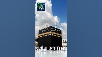 الحج أشهر معلومات سورة البقرة للقارئ عبد الرحمن مسعد