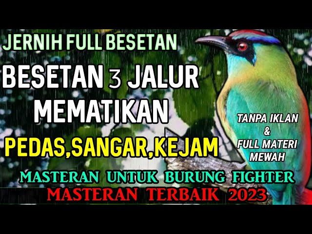 BESETAN KASAR MEMATIKAN || MASTERAN TEMBAKAN KASAR DI TAKUTI LAWAN DIPANTAU JURI | MASTERAN TERBARU class=