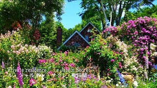 【Private residence】 It was a paradise of flowers!  Le jardin secret 2024 Gonda Residence by Japan Travel Walk 68,112 views 12 days ago 17 minutes