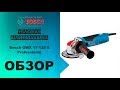 Угловая шлифмашина Bosch GWX 17-125 S Professional