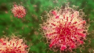 FDA advisory panel debates future of COVID-19 boosters