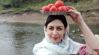 Making a popular Iranian dish with tomatoes and fish in nature - country life vlog