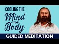 Guided meditation to cool down  gurudev