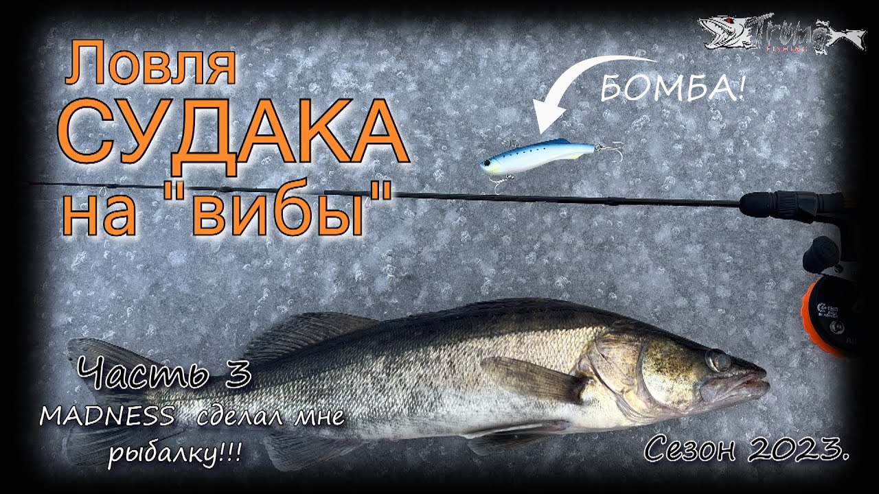 Ловля судака на вибы.