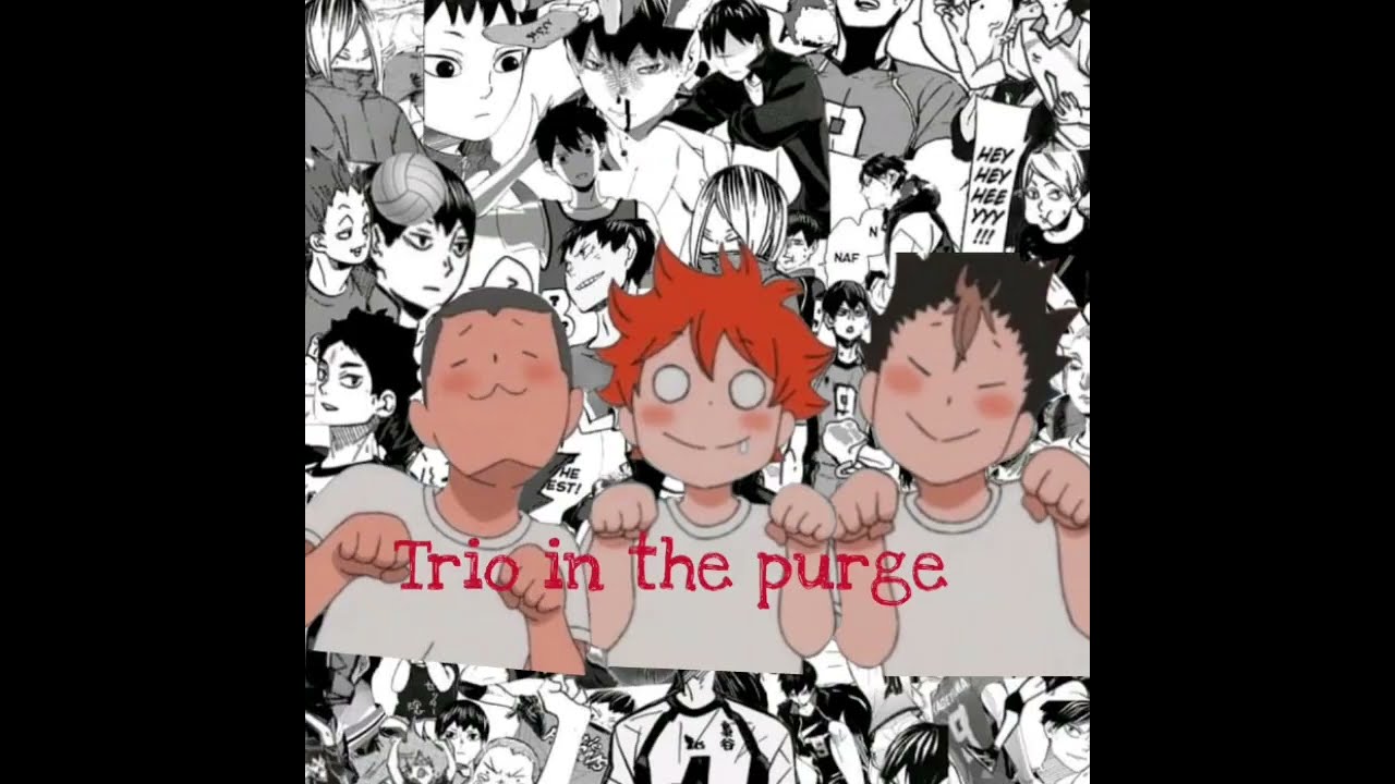 Kardashian in the purge || HAIKYUU || || HINATA HAREM ||