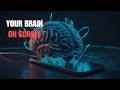 Why you can't stop scrolling (The Neuroscience of Infinite Scroll)