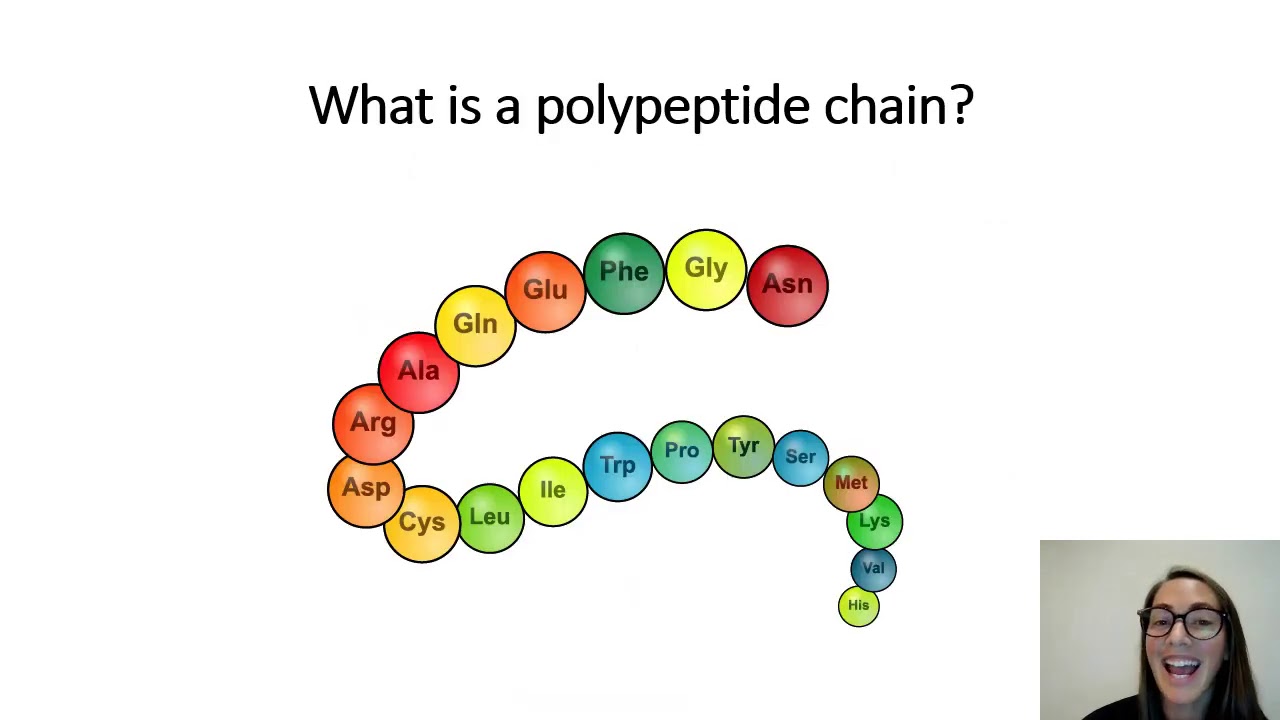 A level Biology Protein structure YouTube