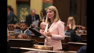Rep. Donna Lasinski on the Dept. of Insurance and Financial Services Budget