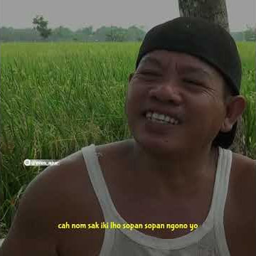 storywa lucu wagundeso #dagelan