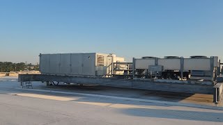 rack down on huge warehouse of frozen food