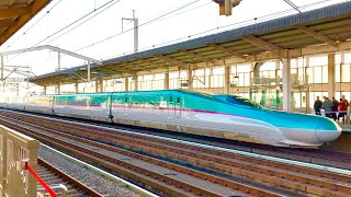 東北新幹線 E5系+E6系 なすの号東京行き 小山駅到着 《TOHOKU SHINKANSEN E5 and E6 Series “NASUNO” at Oyama Sta.》