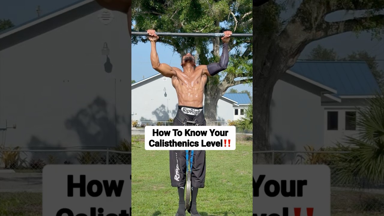 How To Find Out Your Calisthenics Level | Here Are The Requirements | @R@RipRight