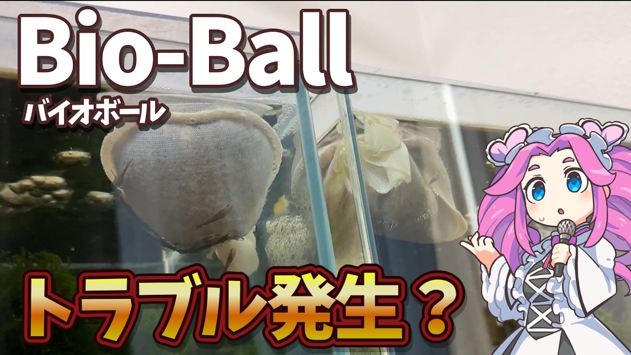 What happened to the Bio-Ball the update! - YouTube