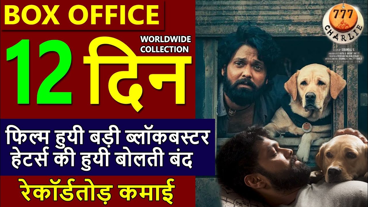 777 Charlie Box Office Collection Day 12, 777 Charlie Day 11 Collection, Budget & Verdict