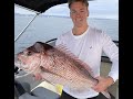 Catching BIG Gold Coast Snapper