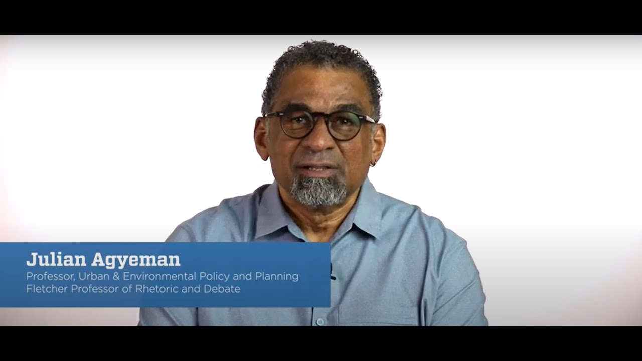 Just Sustainabilities: An Introduction