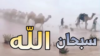 آية من آيات الله فى الصحراء