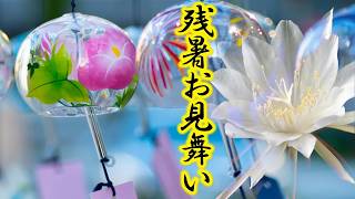 【残暑見舞い動画】月下美人と花火で粋なご挨拶 lineで送る夏のグリーティングカード