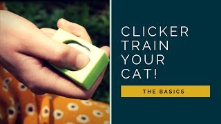 Clicker Train Your Cat! by Wildernesscat 533 views 6 years ago 1 minute, 25 seconds