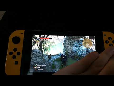 Witcher 3 Switch - Wolf School Gear Portal is Bugged