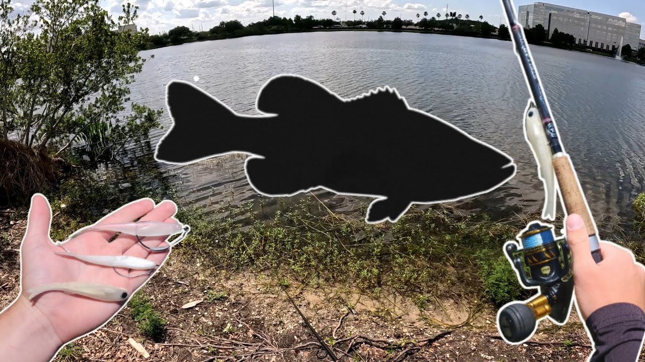 Fluke fishing for [BIG BASS]!!!