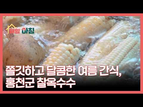 쫄깃하고 달콤한 여름 간식, <strong>홍천군</strong> 찰옥수수 MBN 260810 방송