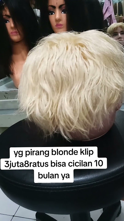 Wigtoupee human hair #barbershop #djcewek #viralvideo #djmusik #viral #reel #shorts #wig #salon #cat