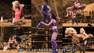 Top 35 Devastating Finishers In My Opinion Mr Wwe Fan